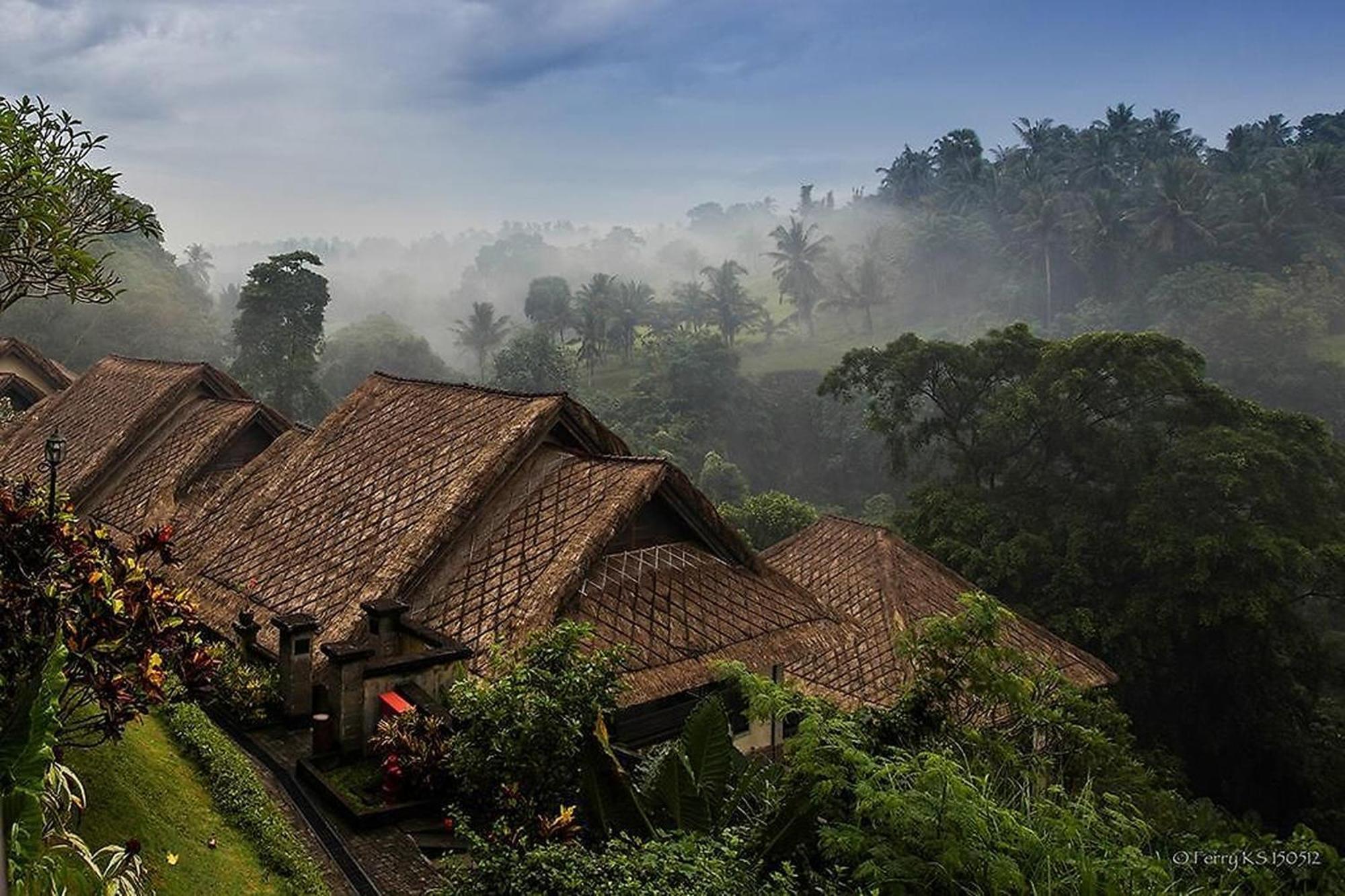 Bali Masari Villas & Spa Ubud Kültér fotó